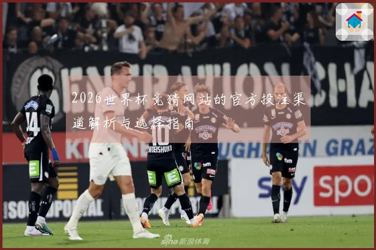 2026世界杯竞猜网站的官方投注渠道解析与选择指南