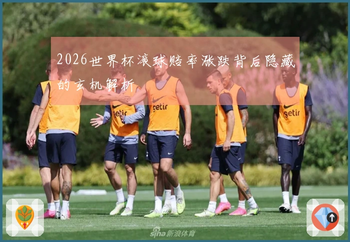 2026世界杯滚球赔率涨跌背后隐藏的玄机解析