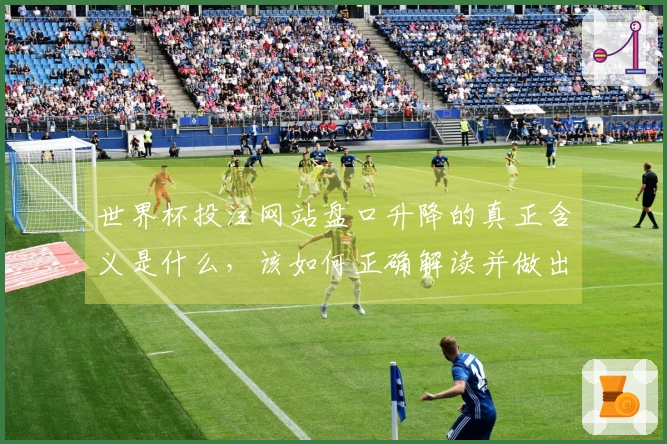 世界杯投注网站盘口升降的真正含义是什么，该如何正确解读并做出明智选择