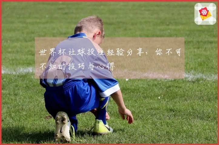 世界杯让球投注经验分享，你不可不知的技巧与心得
